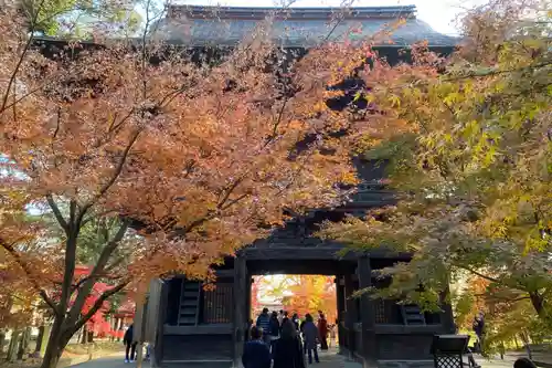 淨眞寺の山門