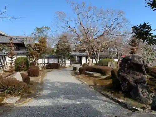 滋賀院門跡の庭園