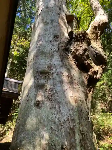 神坂神社(長野県)