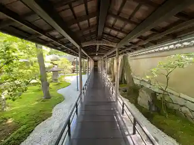 黄梅院(京都府)