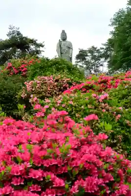 塩船観音寺のその他建物