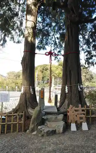 武雄神社の自然