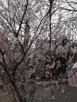 賀羅加波神社(広島県)