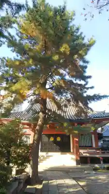 本光寺の本殿・本堂