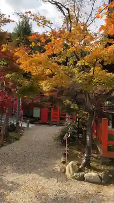 龍田大社(奈良県)