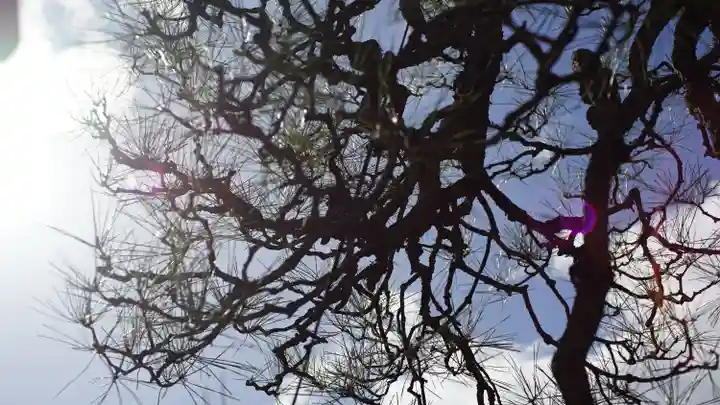 市比賣神社(京都府)