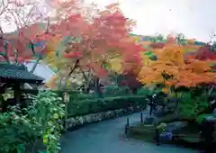 天龍寺の景色