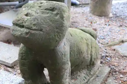 阿久津「田村神社」（郡山市阿久津町）旧社名：伊豆箱根三嶋三社の狛犬