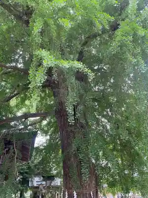 今宮神社(栃木県)