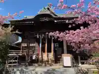 桜神宮の本殿・本堂