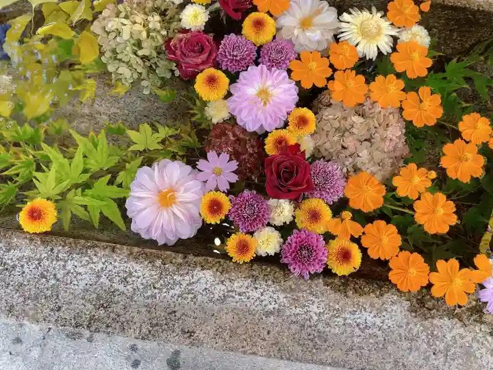 三輪神社(岐阜県)