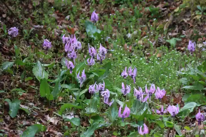三春大神宮の自然