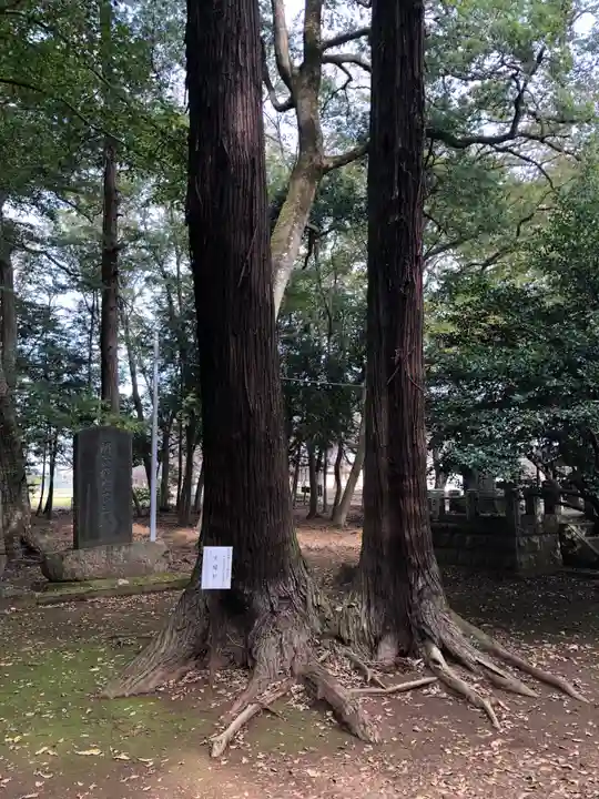 東蕗田天満社の自然