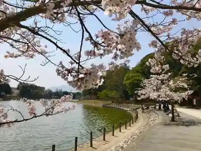 橿原神宮(奈良県)