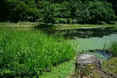 郡殿の池弁財天社(新潟県)