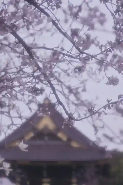 西新井大師総持寺(東京都)