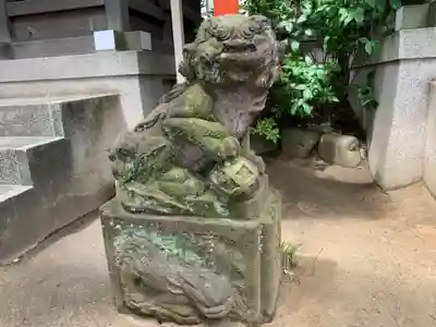 千葉神社の狛犬