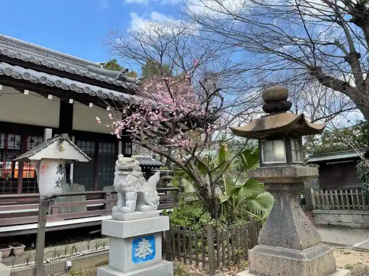 田蓑神社の狛犬