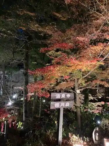 温泉寺の自然