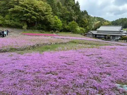 永澤寺の{uncategorized: "未分類", other: "その他", undefined: "問題あり", building: "その他建物", grave: "お墓", sacred_gate: "鳥居", guardian: "狛犬", statue: "像", buddha: "仏像", history: "歴史", nature: "自然", garden: "庭園", animal: "動物", pagoda: "塔", temizu: "手水舎", mountain_gate: "山門・神門", sanctuary: "本殿・本堂", subordinate: "末社・摂社", art: "芸術", scenery: "景色", jizo: "地蔵", ema: "絵馬", goshuin: "御朱印", omikuji: "おみくじ", items: "授与品その他", amulet: "お守り", goshuincho: "御朱印帳", eats: "食事", festival: "お祭り", votive_dance: "神楽", shichigosan: "七五三参", wedding: "結婚式", experience: "体験その他", initially: "初詣", around: "周辺", anti_infection: "感染症対策"}