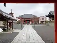 津観音のその他建物