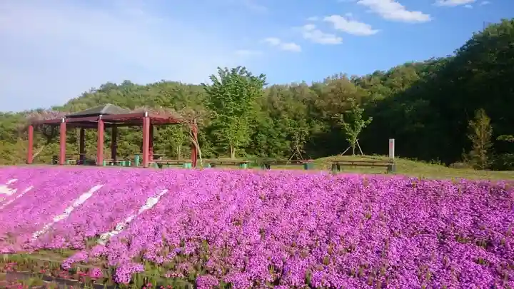 安住神社の周辺