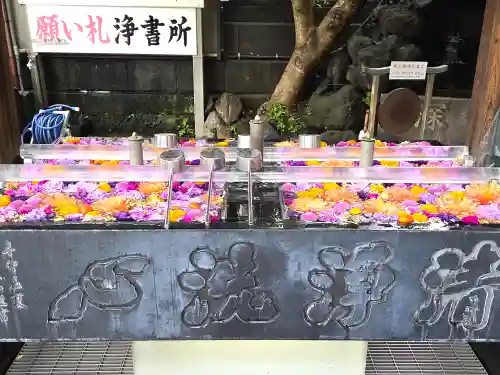 成田山深川不動堂（新勝寺東京別院）の手水舎