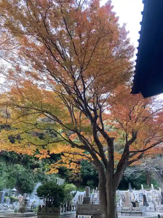 妙本寺(神奈川県)