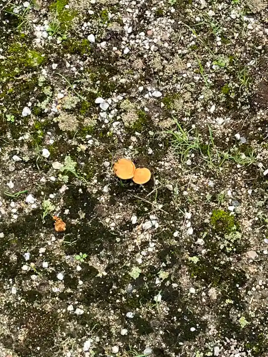 伊和志津神社(兵庫県)