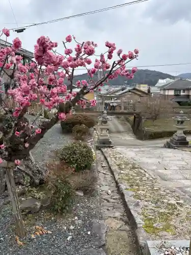 山王宮日吉神社の{uncategorized: "未分類", other: "その他", undefined: "問題あり", building: "その他建物", grave: "お墓", sacred_gate: "鳥居", guardian: "狛犬", statue: "像", buddha: "仏像", history: "歴史", nature: "自然", garden: "庭園", animal: "動物", pagoda: "塔", temizu: "手水舎", mountain_gate: "山門・神門", sanctuary: "本殿・本堂", subordinate: "末社・摂社", art: "芸術", scenery: "景色", jizo: "地蔵", ema: "絵馬", goshuin: "御朱印", omikuji: "おみくじ", items: "授与品その他", amulet: "お守り", goshuincho: "御朱印帳", eats: "食事", festival: "お祭り", votive_dance: "神楽", shichigosan: "七五三参", wedding: "結婚式", experience: "体験その他", initially: "初詣", around: "周辺", anti_infection: "感染症対策"}