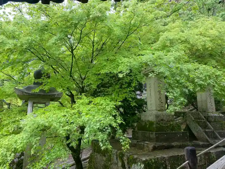 長谷寺の{uncategorized: "未分類", other: "その他", undefined: "問題あり", building: "その他建物", grave: "お墓", sacred_gate: "鳥居", guardian: "狛犬", statue: "像", buddha: "仏像", history: "歴史", nature: "自然", garden: "庭園", animal: "動物", pagoda: "塔", temizu: "手水舎", mountain_gate: "山門・神門", sanctuary: "本殿・本堂", subordinate: "末社・摂社", art: "芸術", scenery: "景色", jizo: "地蔵", ema: "絵馬", goshuin: "御朱印", omikuji: "おみくじ", items: "授与品その他", amulet: "お守り", goshuincho: "御朱印帳", eats: "食事", festival: "お祭り", votive_dance: "神楽", shichigosan: "七五三参", wedding: "結婚式", experience: "体験その他", initially: "初詣", around: "周辺", anti_infection: "感染症対策"}