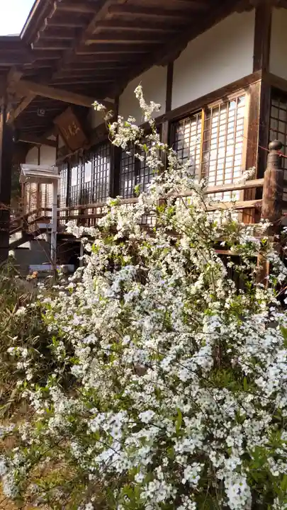 普濟寺の本殿・本堂