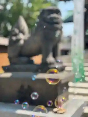 札幌諏訪神社の狛犬