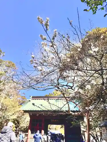 高徳院(神奈川県)