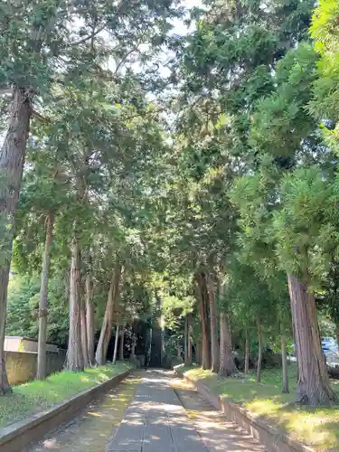 諏訪神社(千葉県)