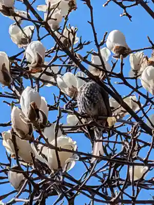 柏の宮稲荷神社(東京都)