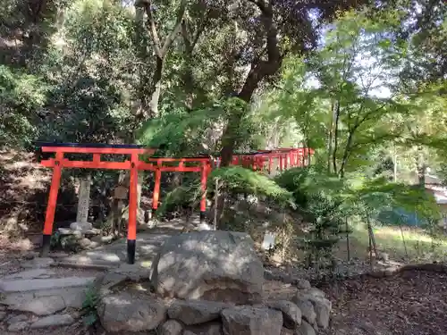 二葉姫稲荷神社の鳥居