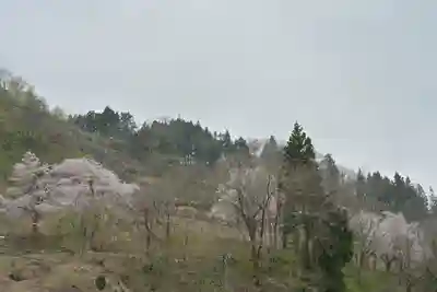 高龍神社(新潟県)