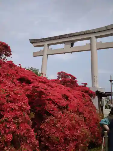 長岡天満宮の鳥居