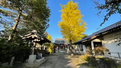 慶光山　観音寺の建物その他