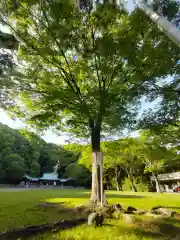 靜岡縣護國神社の自然