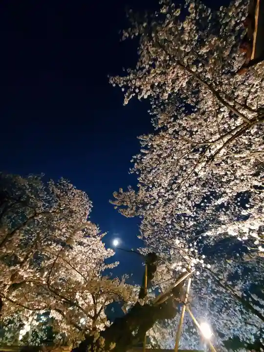 如宝寺(福島県)