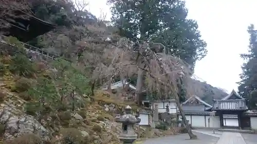 知恩院のその他建物