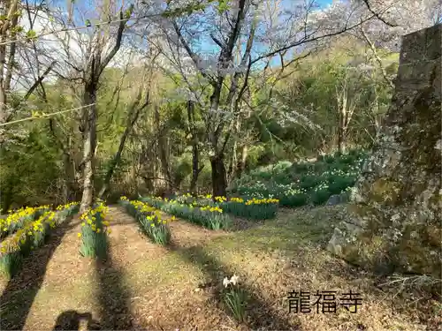 龍福寺 鳥羽堂観音(長野県)