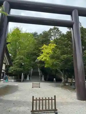 千歳神社の{uncategorized: "未分類", other: "その他", undefined: "問題あり", building: "その他建物", grave: "お墓", sacred_gate: "鳥居", guardian: "狛犬", statue: "像", buddha: "仏像", history: "歴史", nature: "自然", garden: "庭園", animal: "動物", pagoda: "塔", temizu: "手水舎", mountain_gate: "山門・神門", sanctuary: "本殿・本堂", subordinate: "末社・摂社", art: "芸術", scenery: "景色", jizo: "地蔵", ema: "絵馬", goshuin: "御朱印", omikuji: "おみくじ", items: "授与品その他", amulet: "お守り", goshuincho: "御朱印帳", eats: "食事", festival: "お祭り", votive_dance: "神楽", shichigosan: "七五三参", wedding: "結婚式", experience: "体験その他", initially: "初詣", around: "周辺", anti_infection: "感染症対策"}