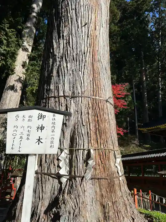 日光二荒山神社(栃木県)