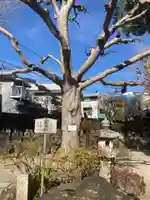 密蔵寺(神奈川県)