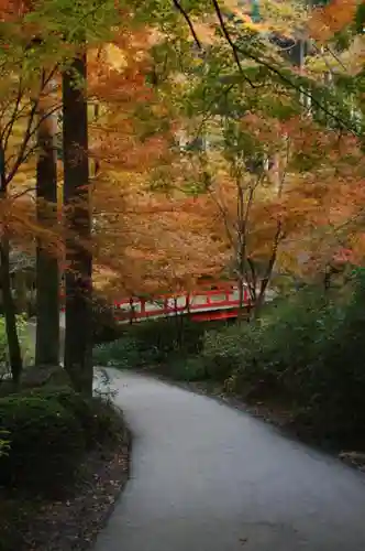 三千院門跡の庭園