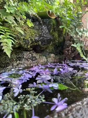 穴澤天神社(東京都)