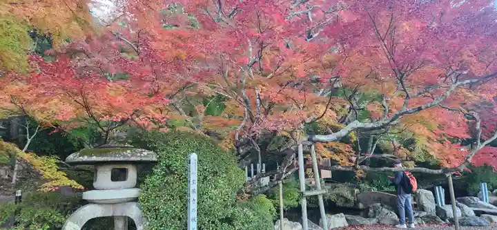 宝蔵寺の庭園